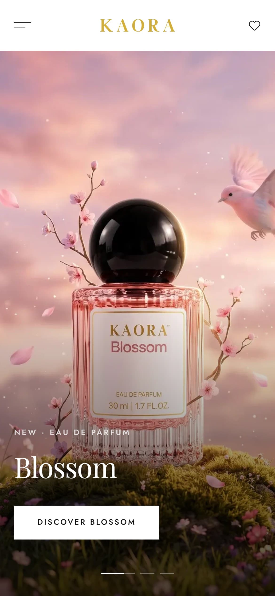 KAORA live site on a phone